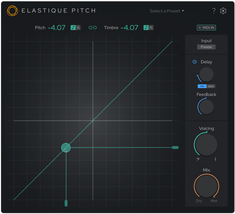 ELASTIQUE PITCH