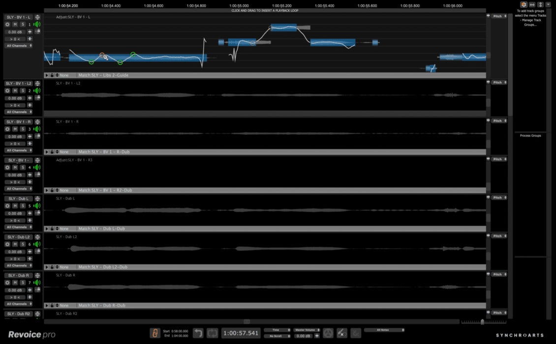 Revoice Pro 5