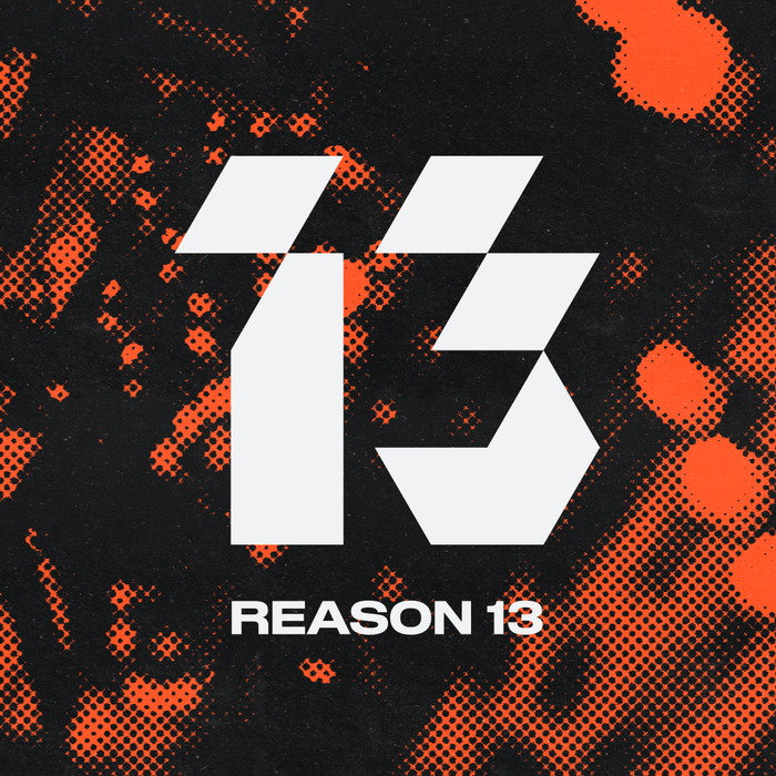 Reason 13